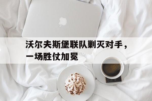 沃尔夫斯堡联队剿灭对手，一场胜仗加冕