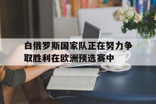 白俄罗斯国家队正在努力争取胜利在欧洲预选赛中